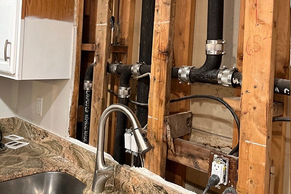 Colorado mold remediation services