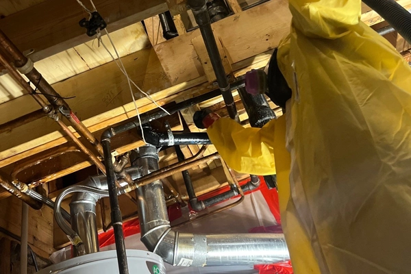 Home restoration technician at work