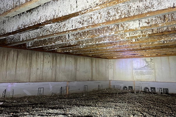 Damage restoration client interior photo