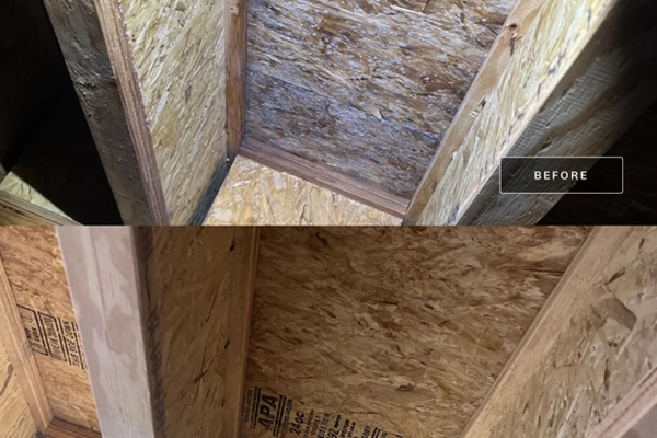 Colorado mold mitigation before and after