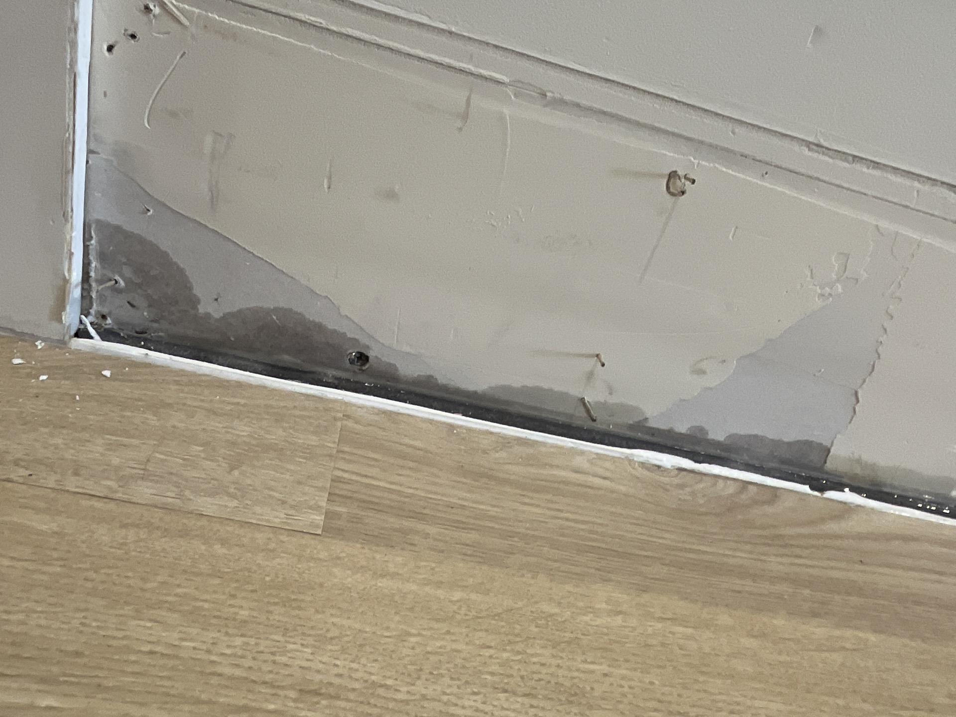 Drywall water damage