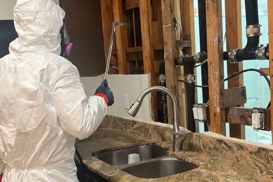 Expert mold mitigation