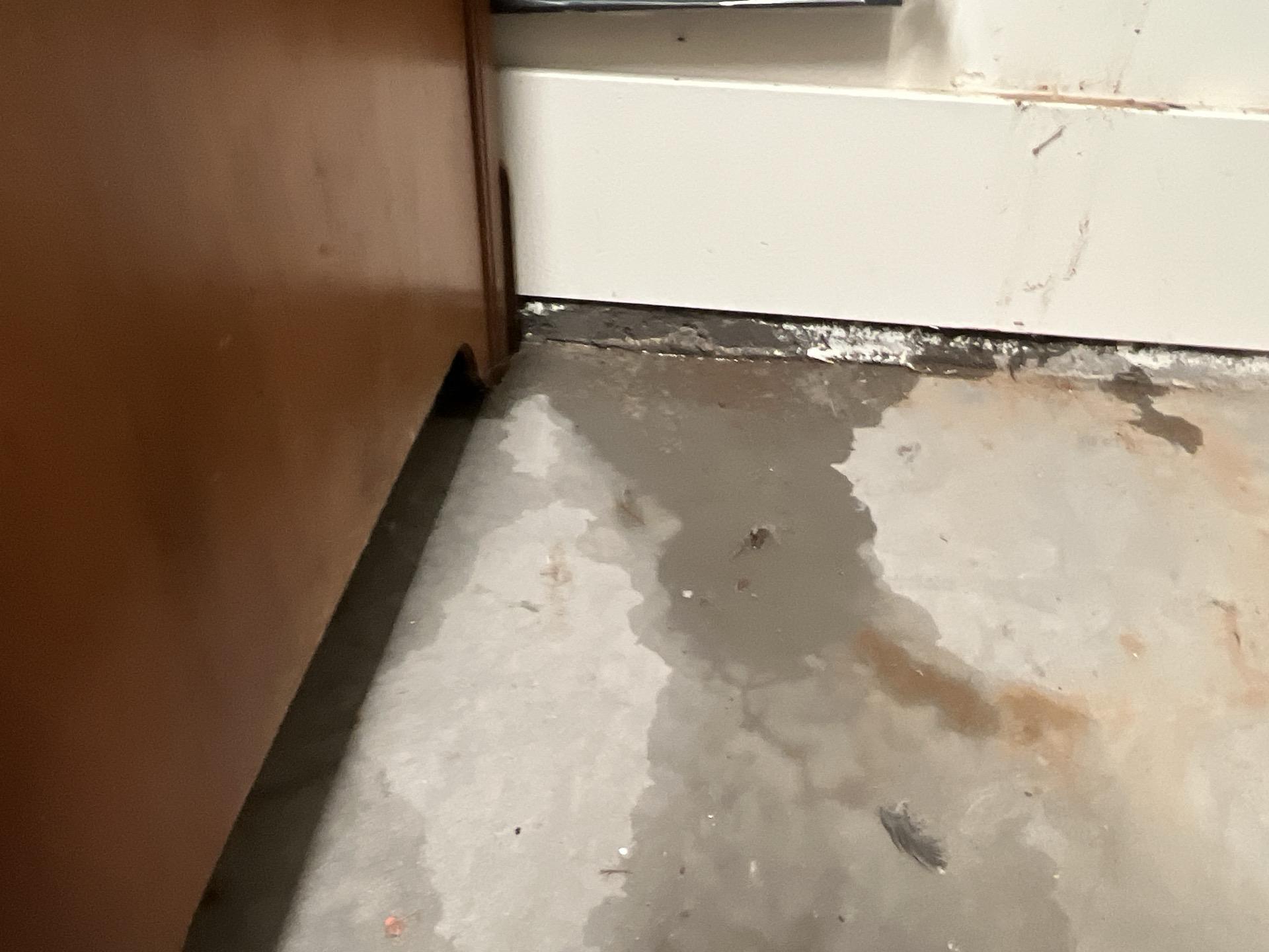Garage water damage