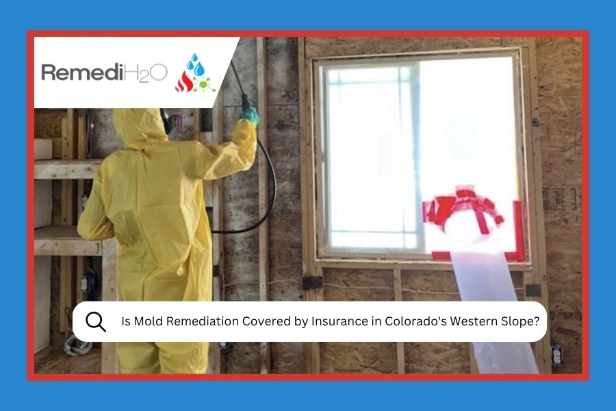 Is Mold Remediation Covered by Insurance in Colorado's Western Slope