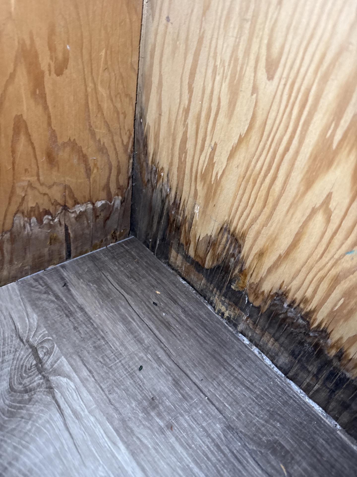 Basement showing moisture damage and mold conditions