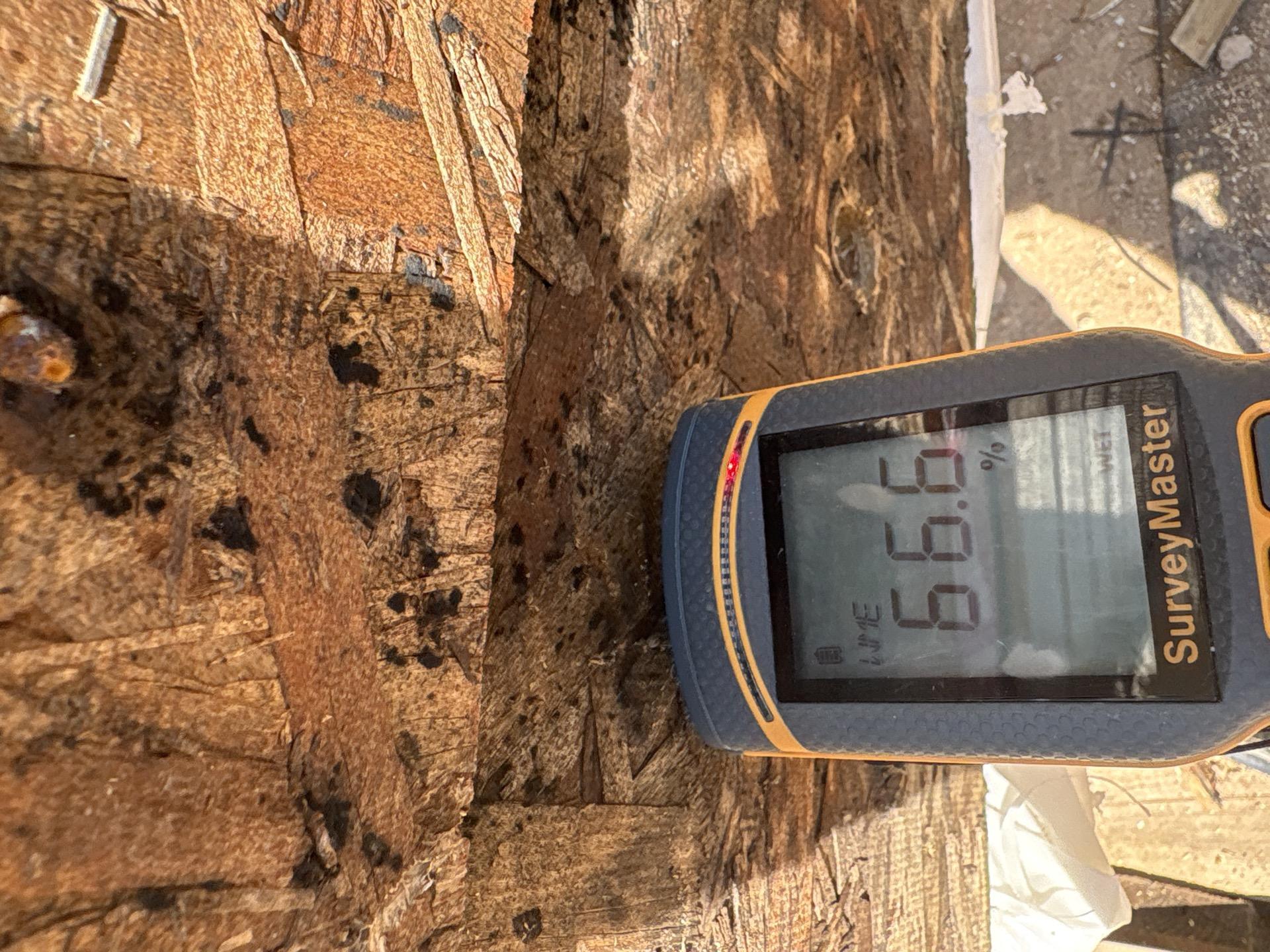 Water damage inspection with moisture meter