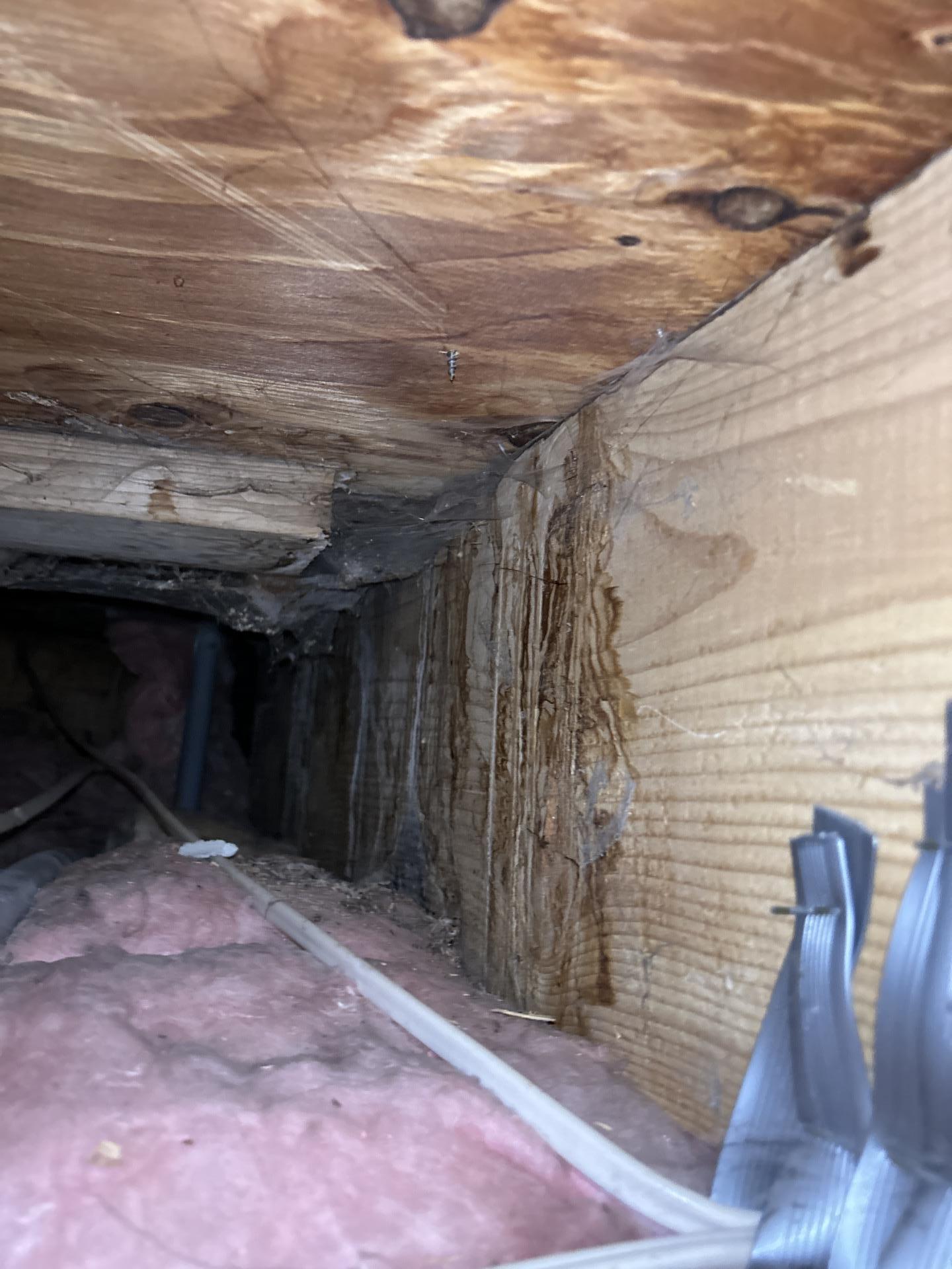 Extensive crawlspace flooding before restoration