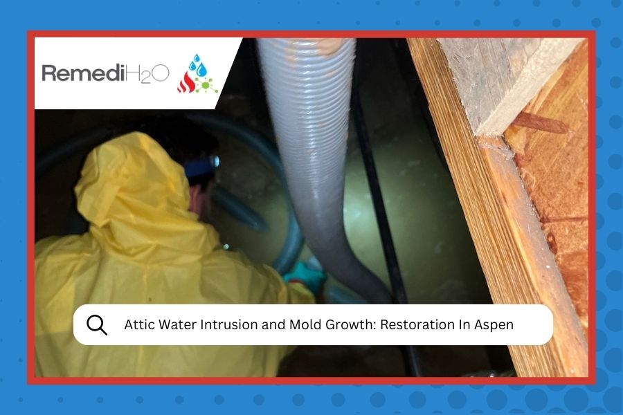 Attic Water Intrusion and Mold Growth Restoration In Aspen