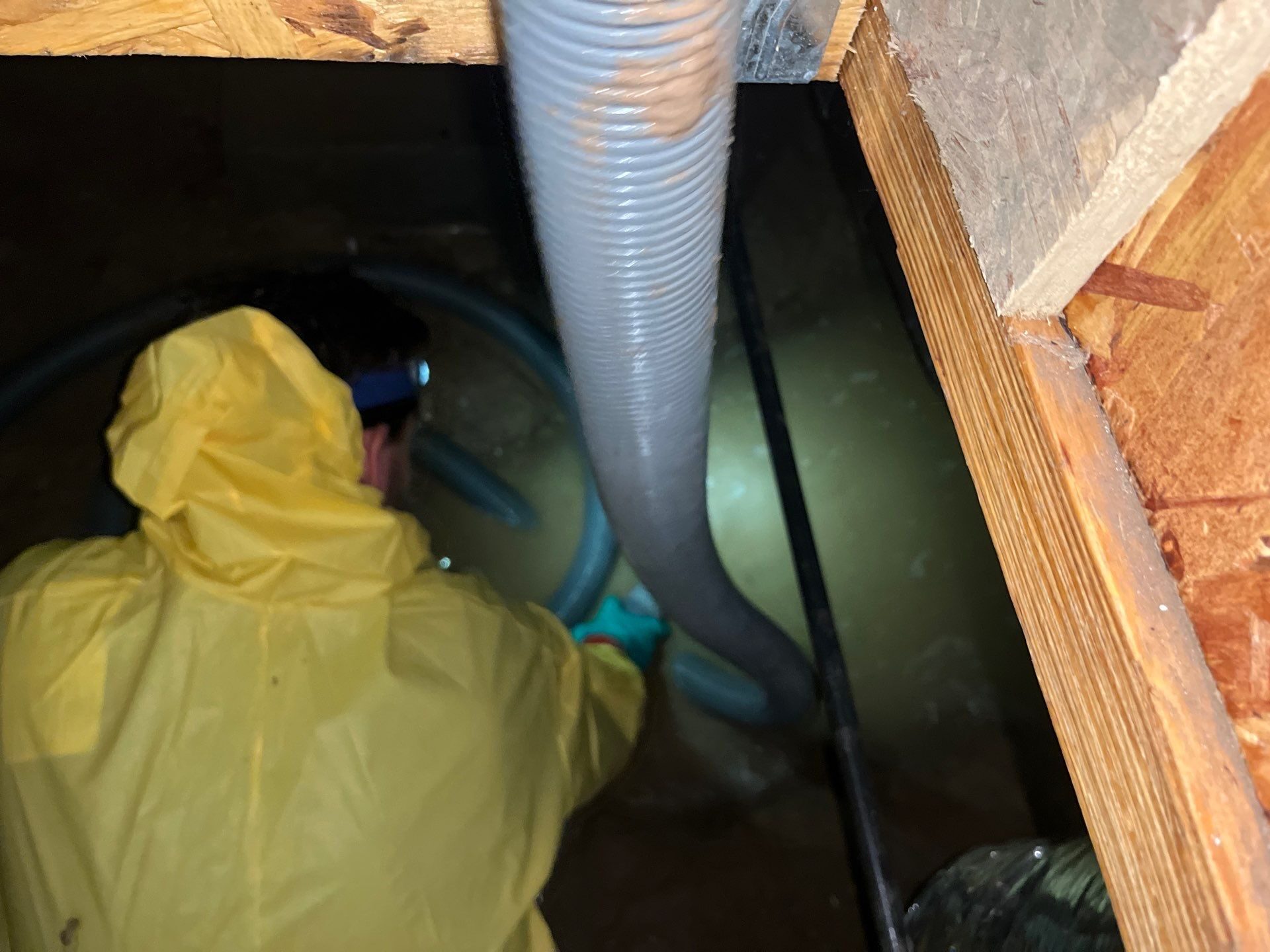 Technician in PPE performing mold remediation