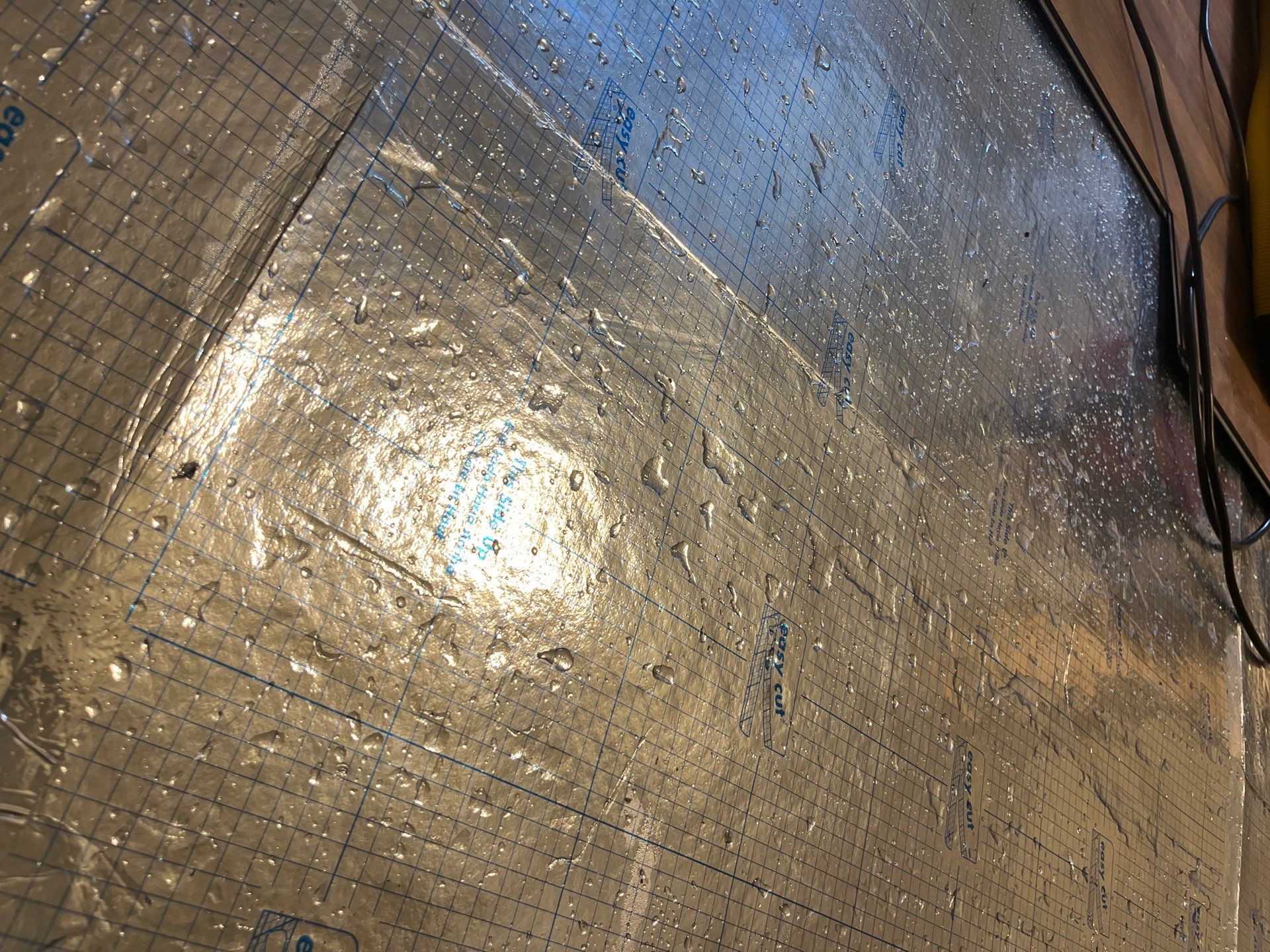 Water damage restoration equipment in entryway