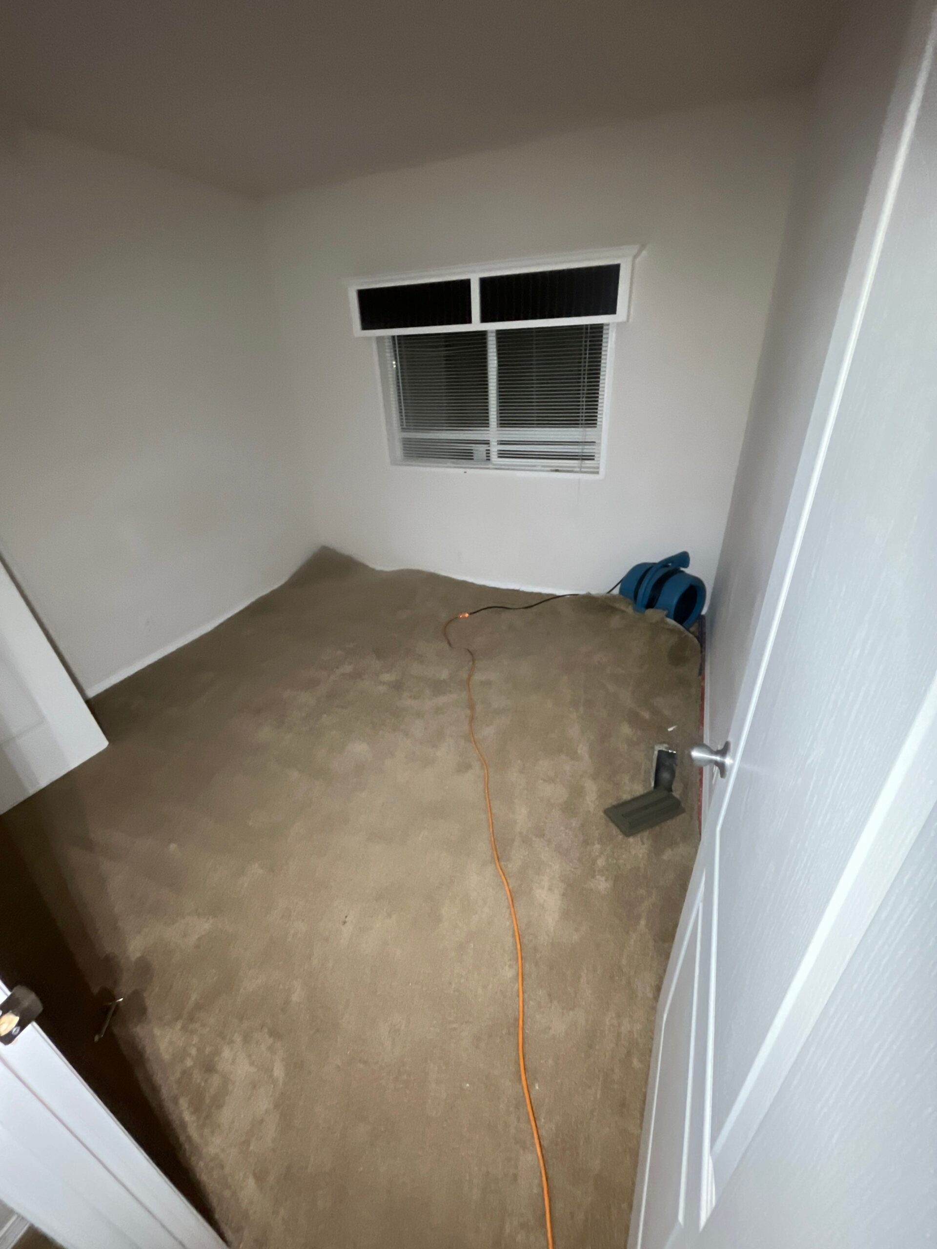 Carpet removal during water damage mitigation