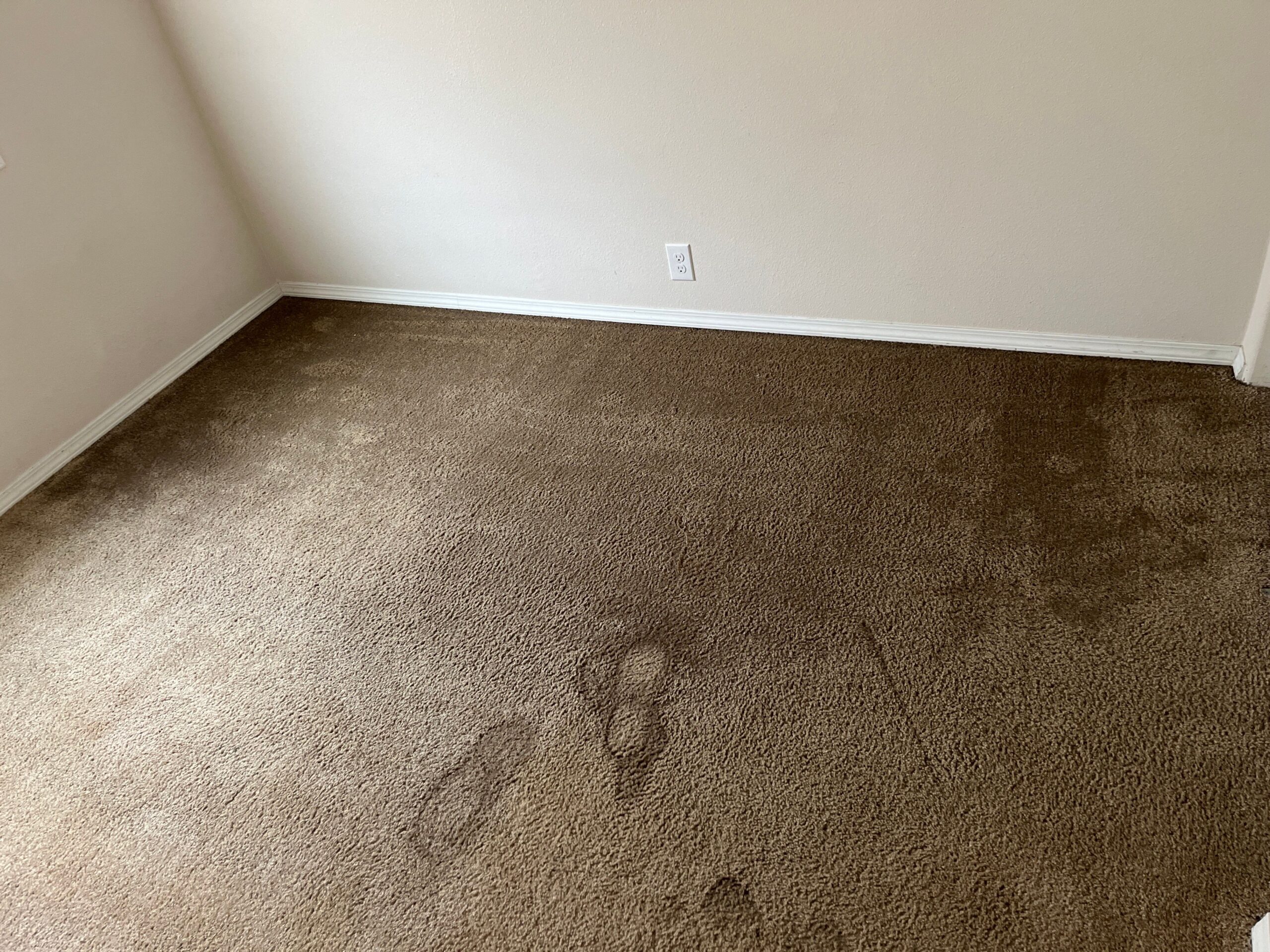 Professional drying process underway