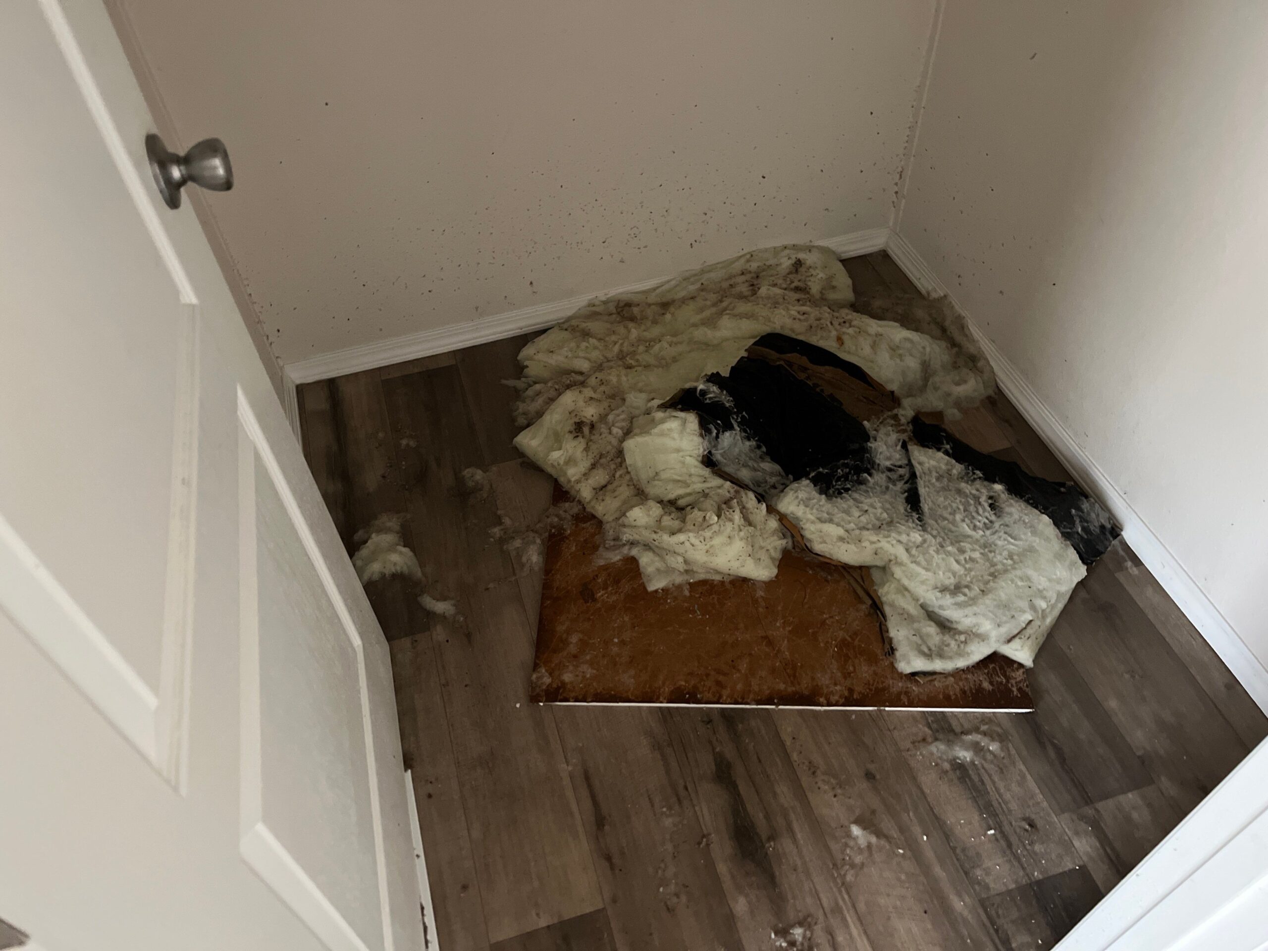 Air movers positioned for structural drying