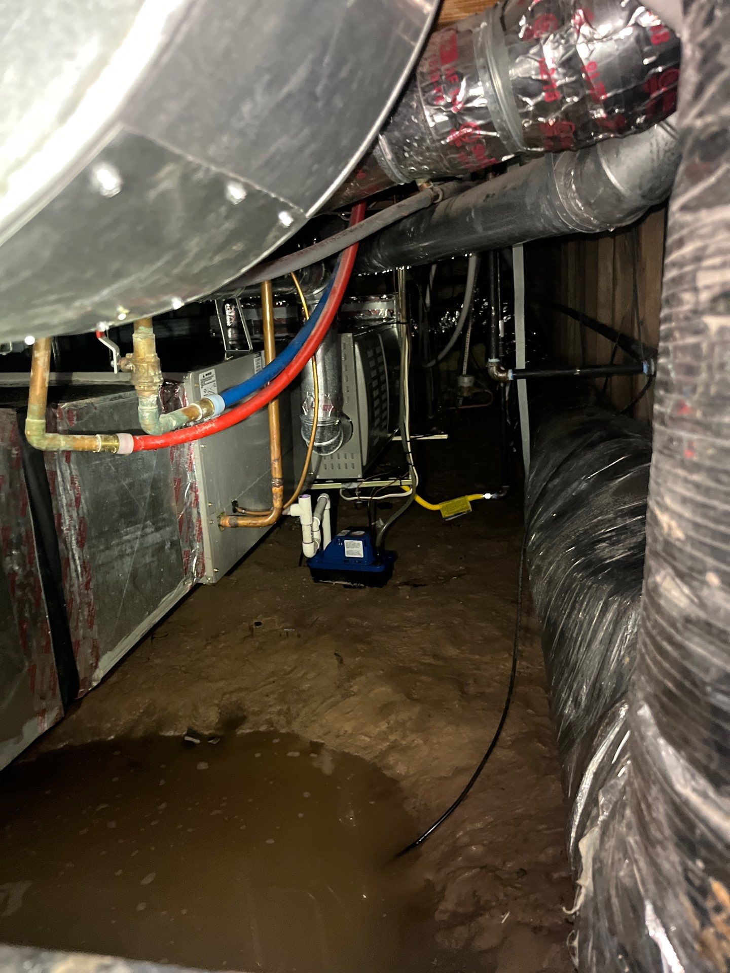 Dehumidification equipment in affected room