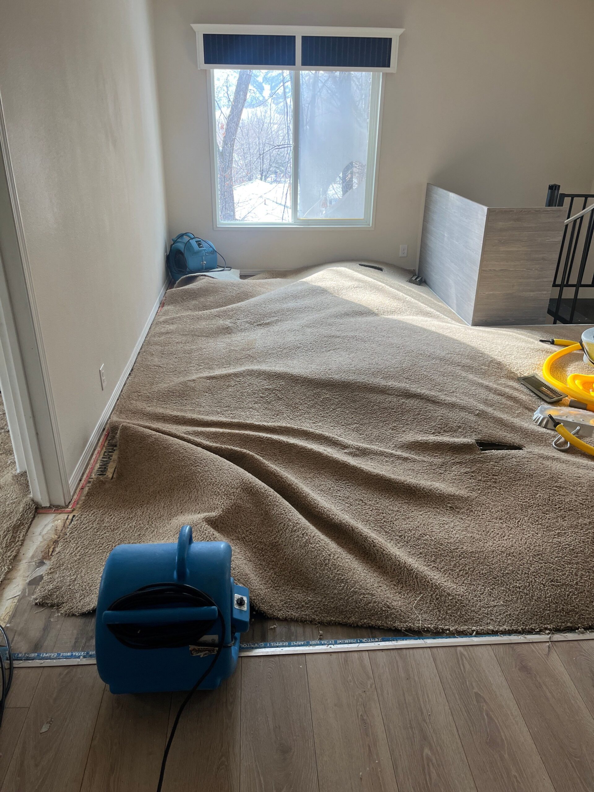 Restored area after professional drying