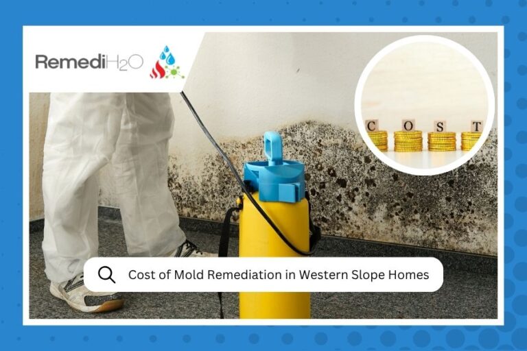 Cost of Mold Remediation in Western Slope Homes in 2026