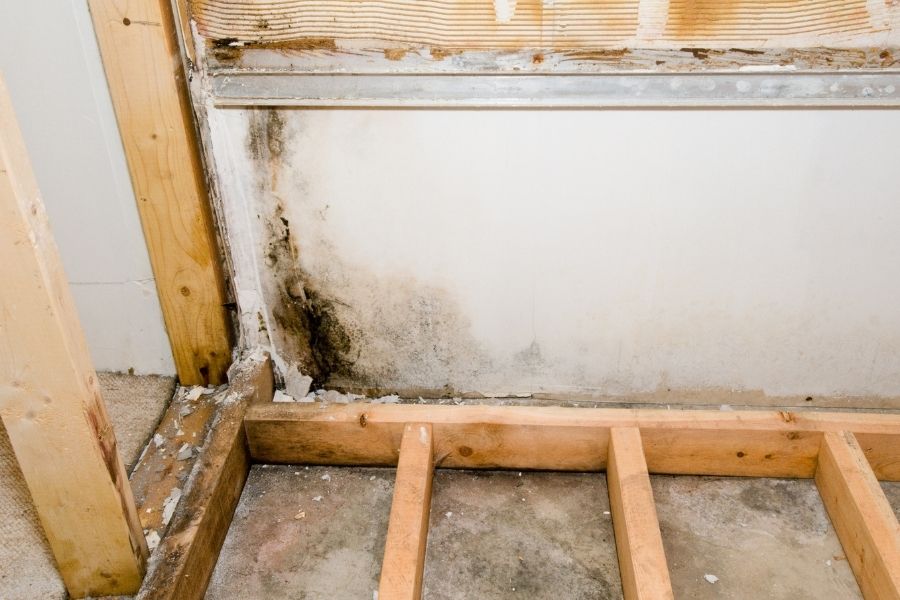 Mold and mildew growth on a basement wall following water infiltration