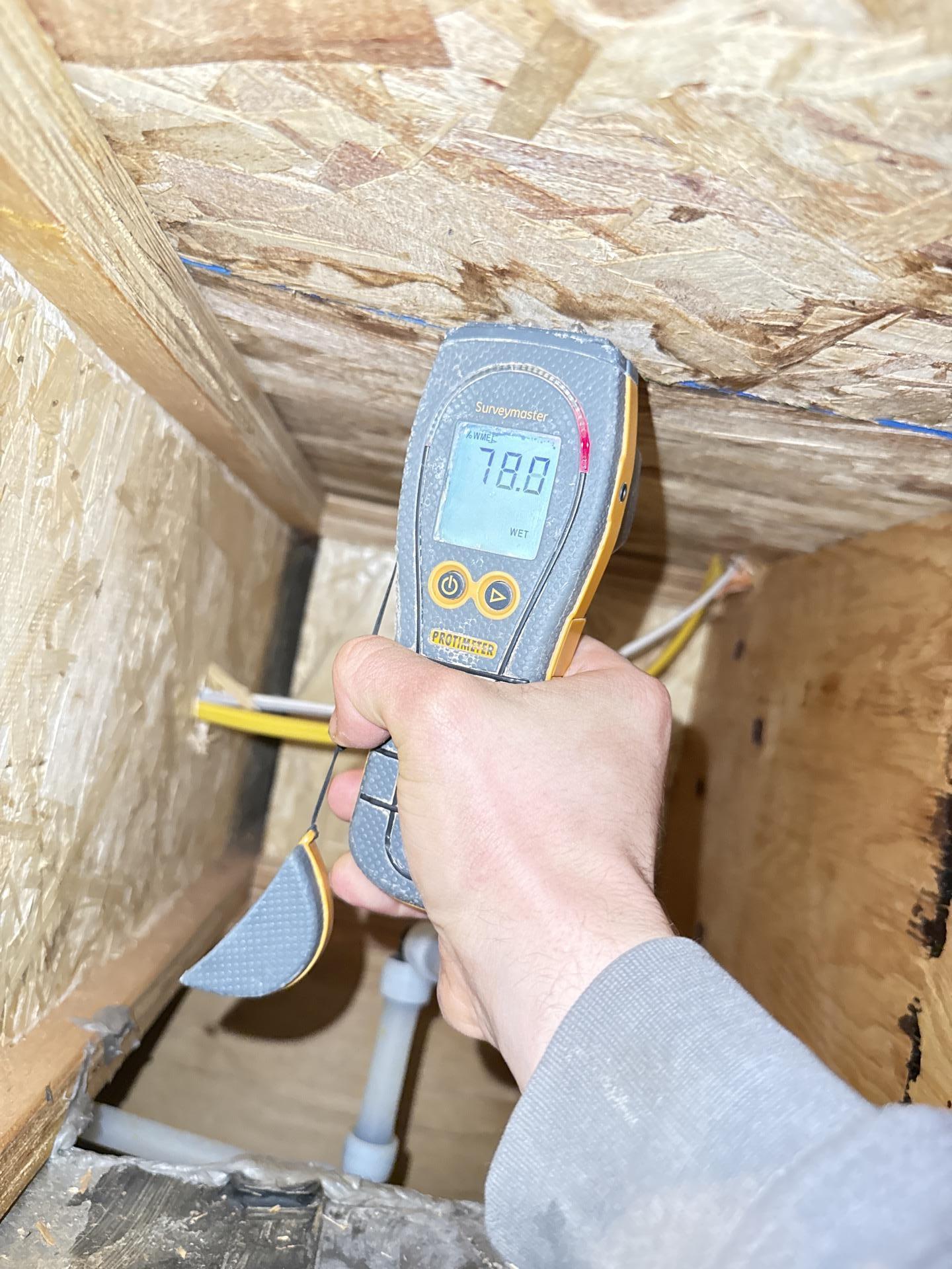 Technician applying peroxide-based antimicrobial to crawlspace framing during mold remediation