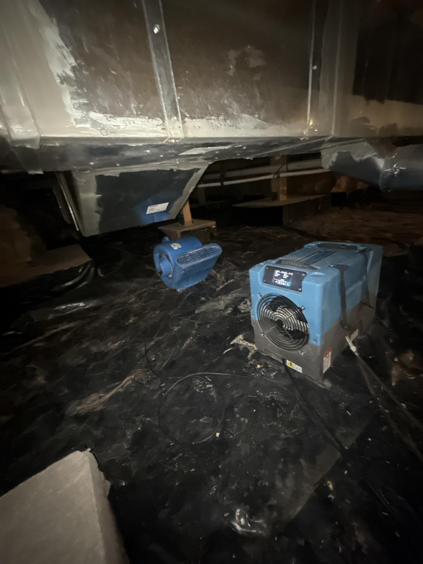 Clean crawlspace framing confirmed at dry standard following RemediH2O water damage and mold remediation