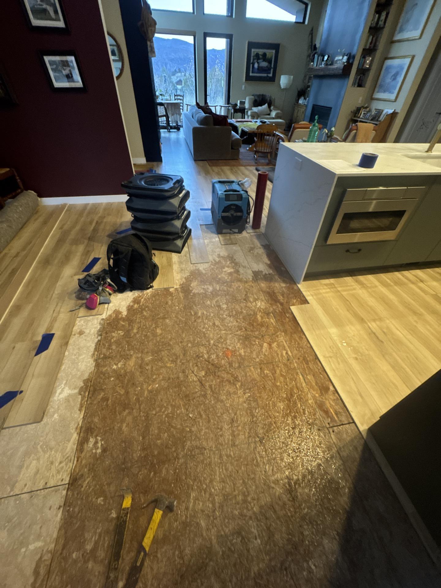 Water-damaged luxury vinyl plank flooring assessed for removal in a Glenwood Springs kitchen