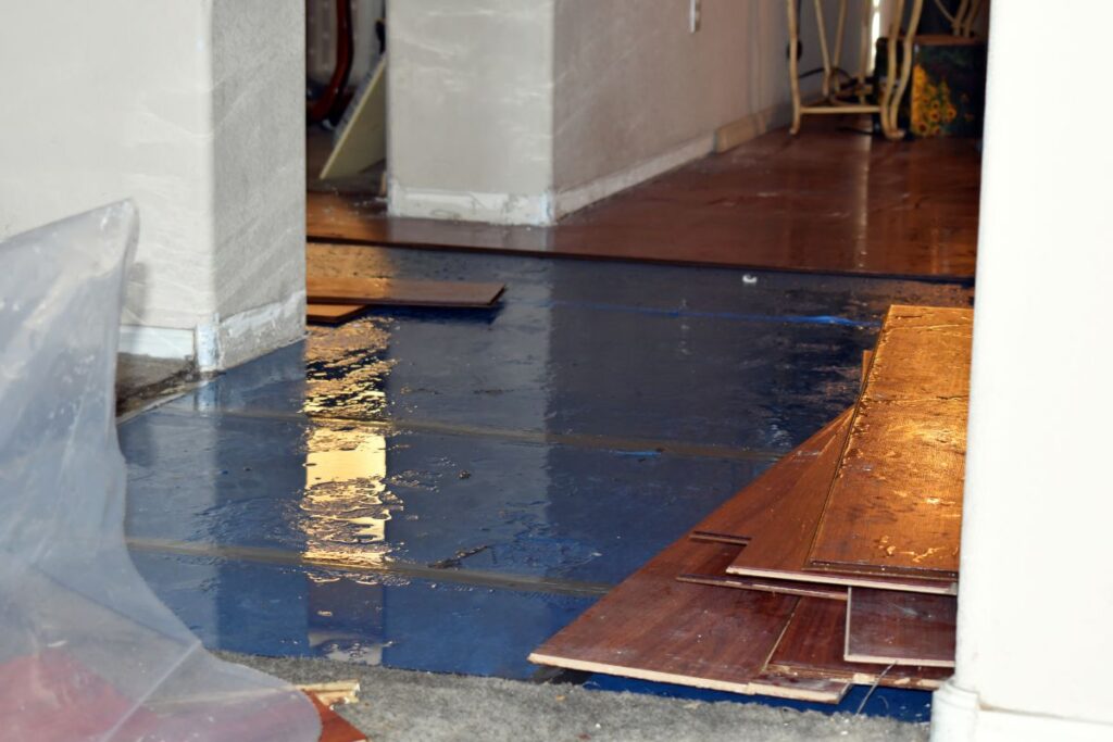 Start Your Basement Water Damage Restoration Today