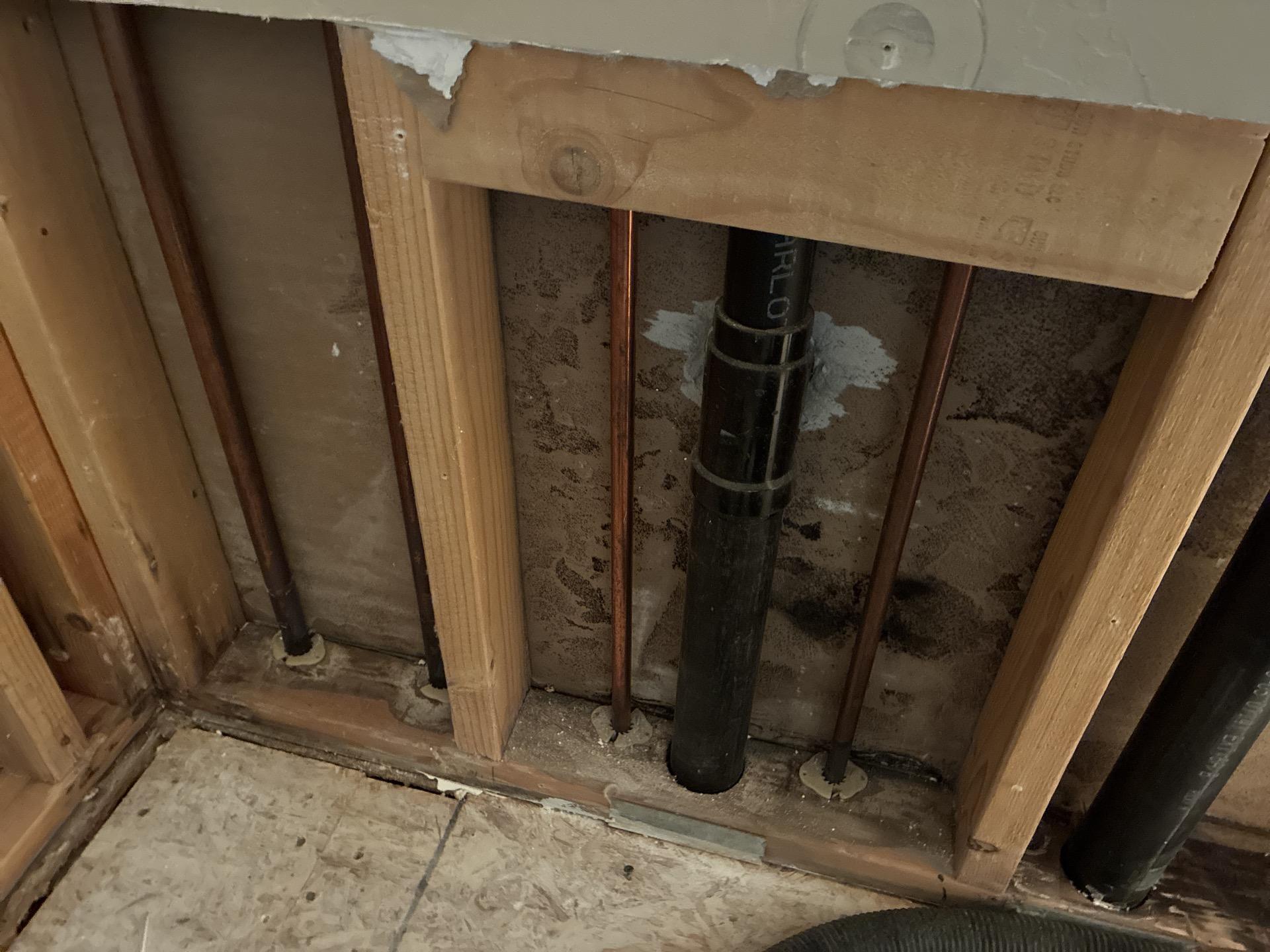 Mold discovered on drywall behind bathroom baseboards during selective demolition
