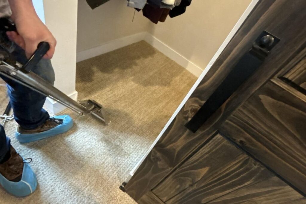 Restore Your Home with Professional Carpet Cleaning