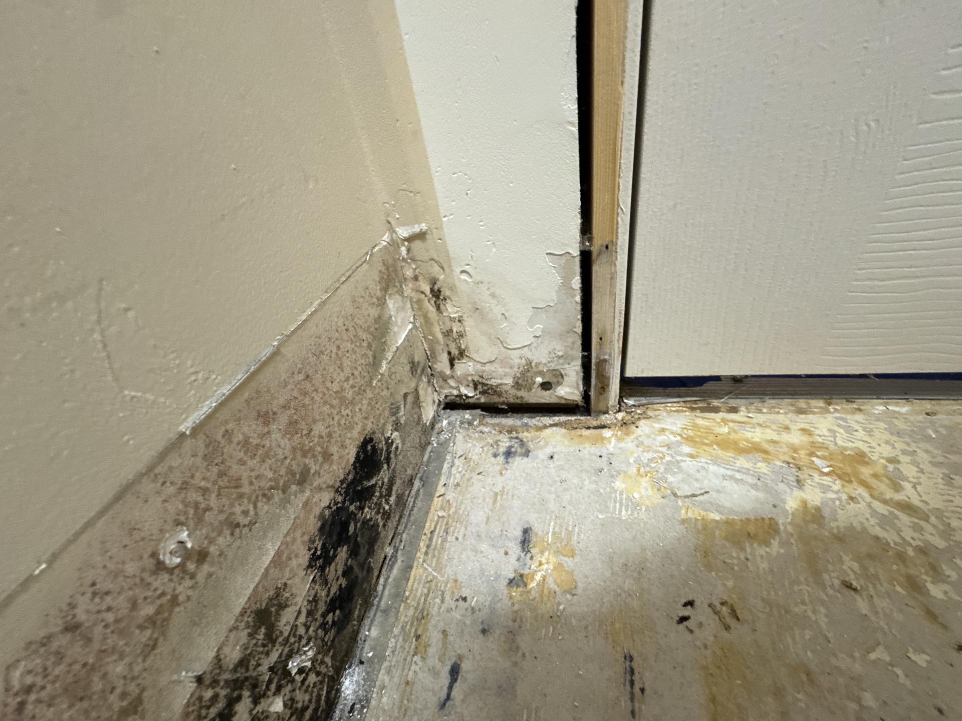 Deteriorated laundry room flooring materials with signs of historical water intrusion