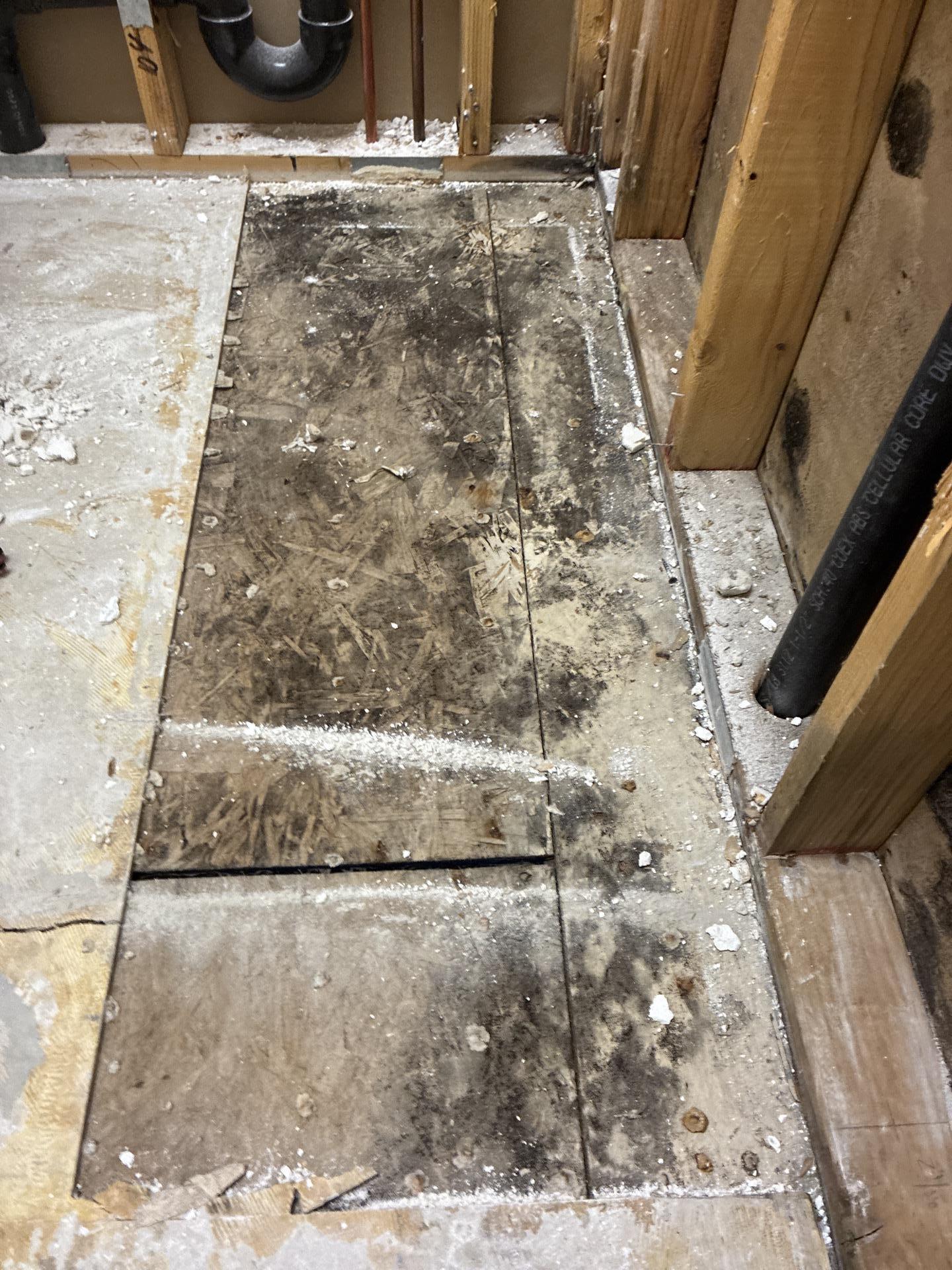 Laundry room flooring and baseboard removal exposing mold-affected subfloor