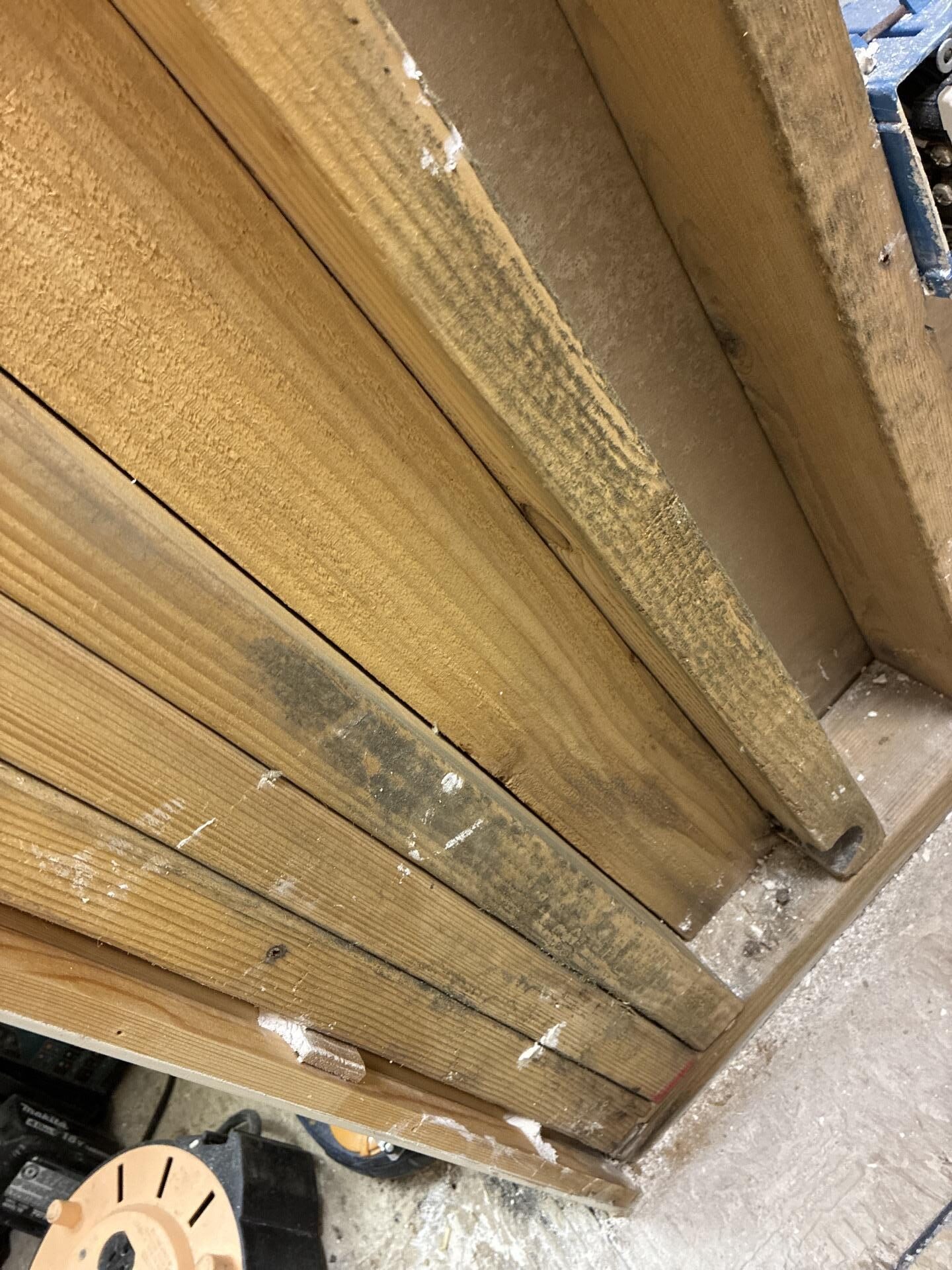 Mold conditions identified at doorway between garage and mechanical room
