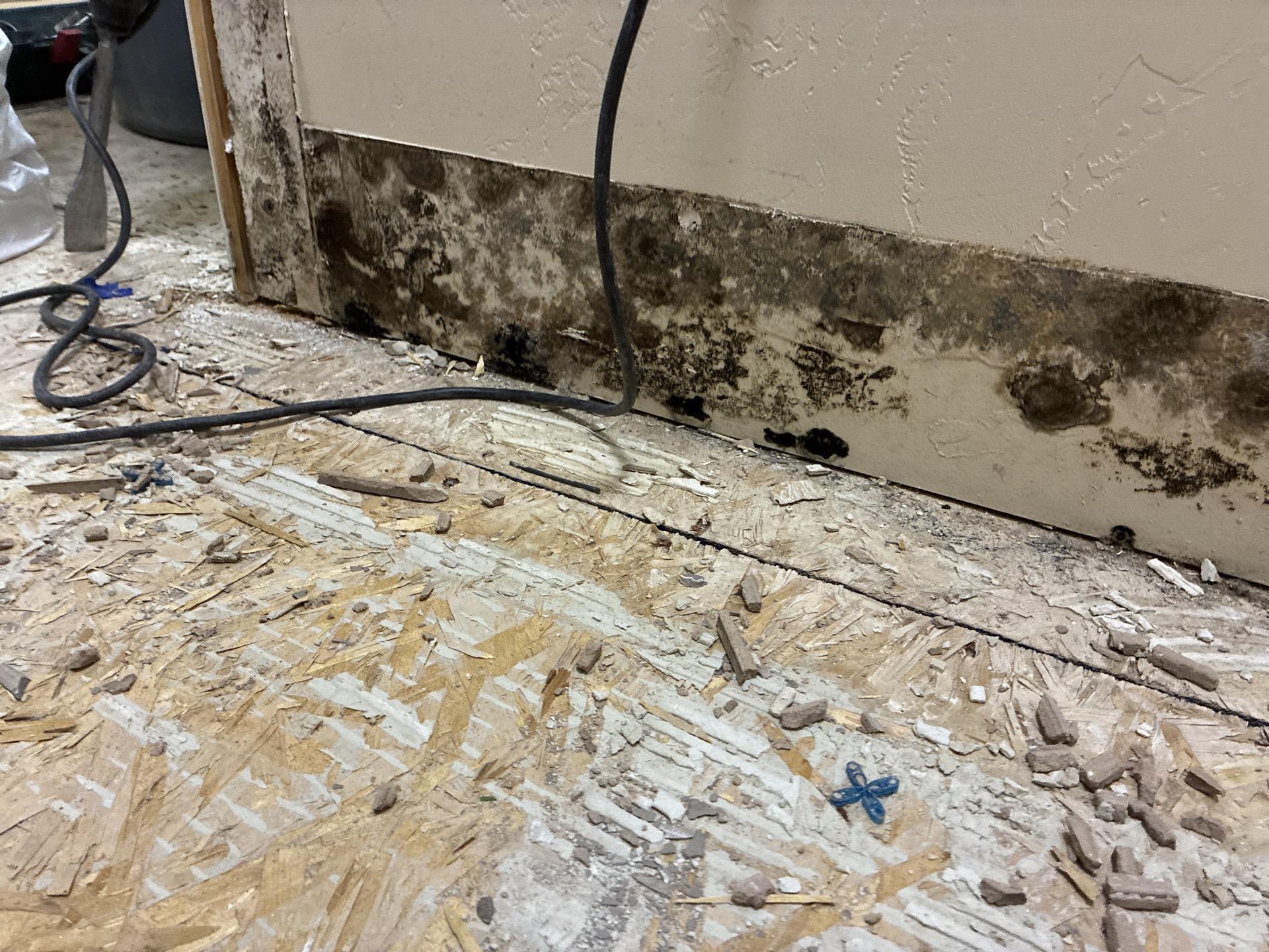 Mold growth observed on structural surfaces during pre-purchase home inspection in Rifle, CO