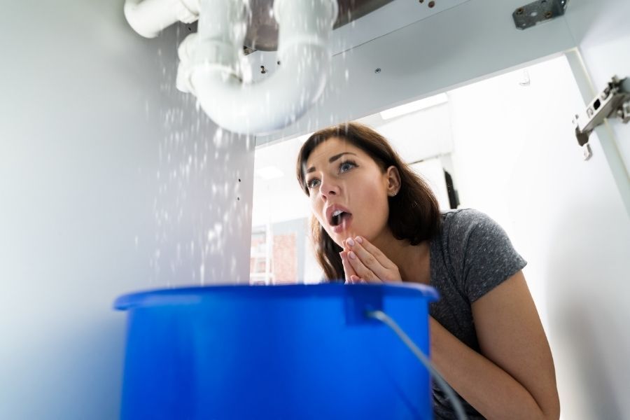 Checking under a bathroom sink cabinet for signs of water leaks or moisture damage