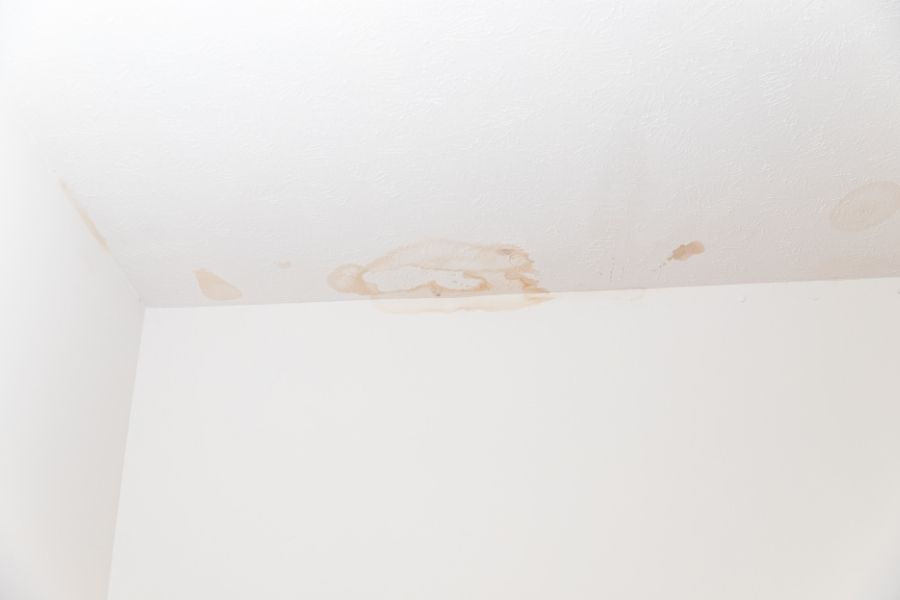 Yellow-brown water stain rings on a ceiling below a bathroom, indicating an active or past leak from above