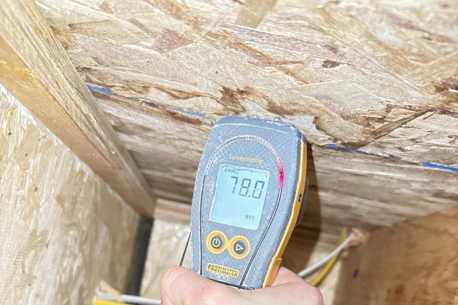 Technician performing attic inspection and moisture mapping during mold remediation assessment