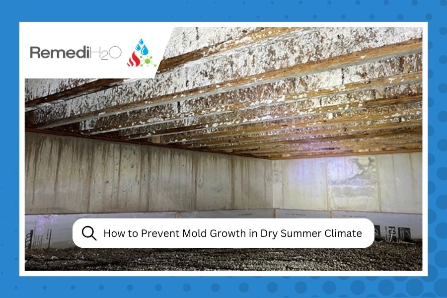 How to Prevent Mold Growth in Dry Summer Climate
