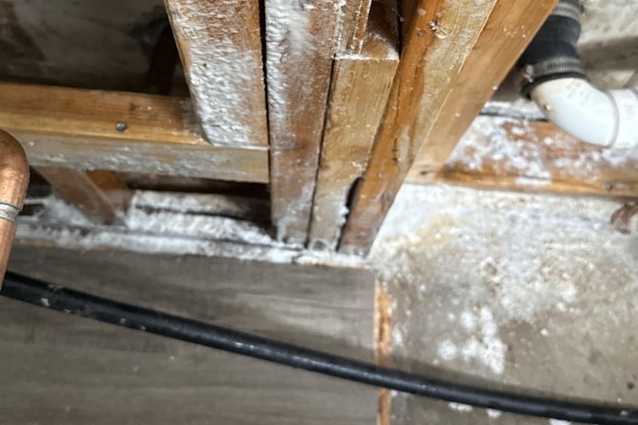 Mold growth on a basement wall during a RemediH2O remediation job