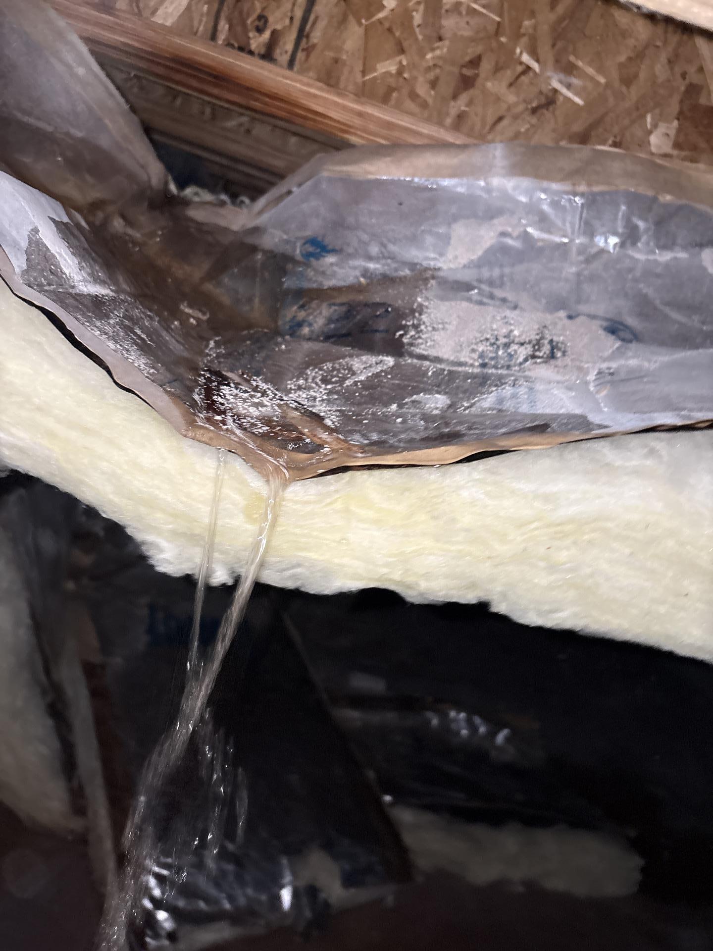 Saturated crawlspace insulation soaked through after the water loss