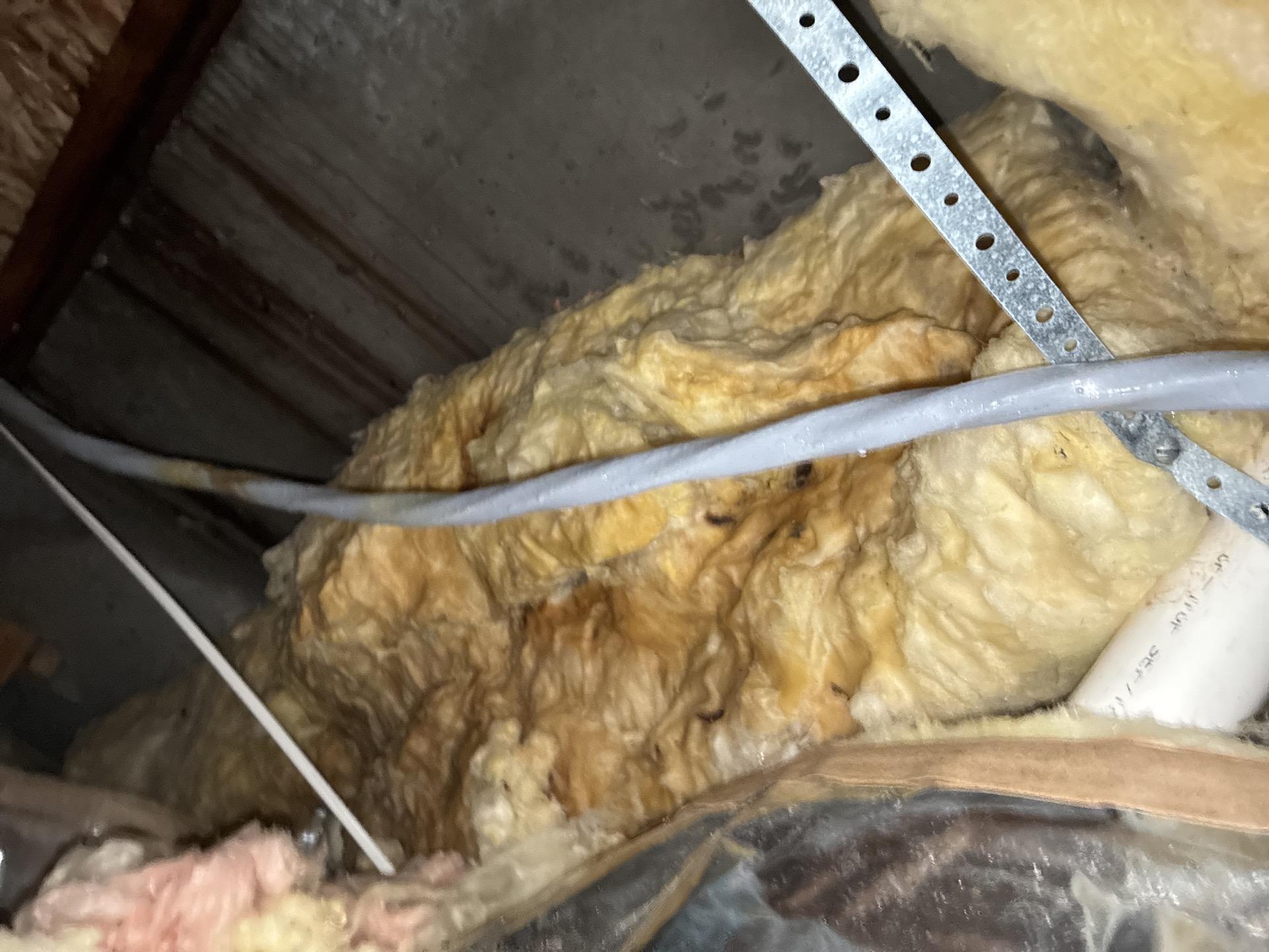 Standing water pooled in the crawlspace beneath the Grand Junction kitchen