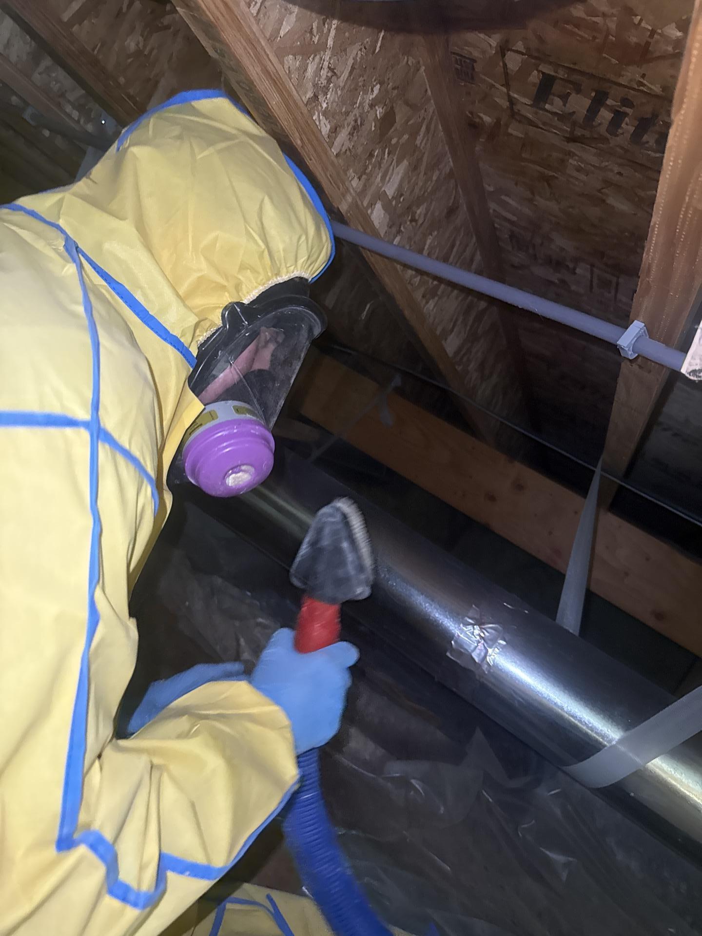 Crawlspace water damage restoration work beneath the kitchen