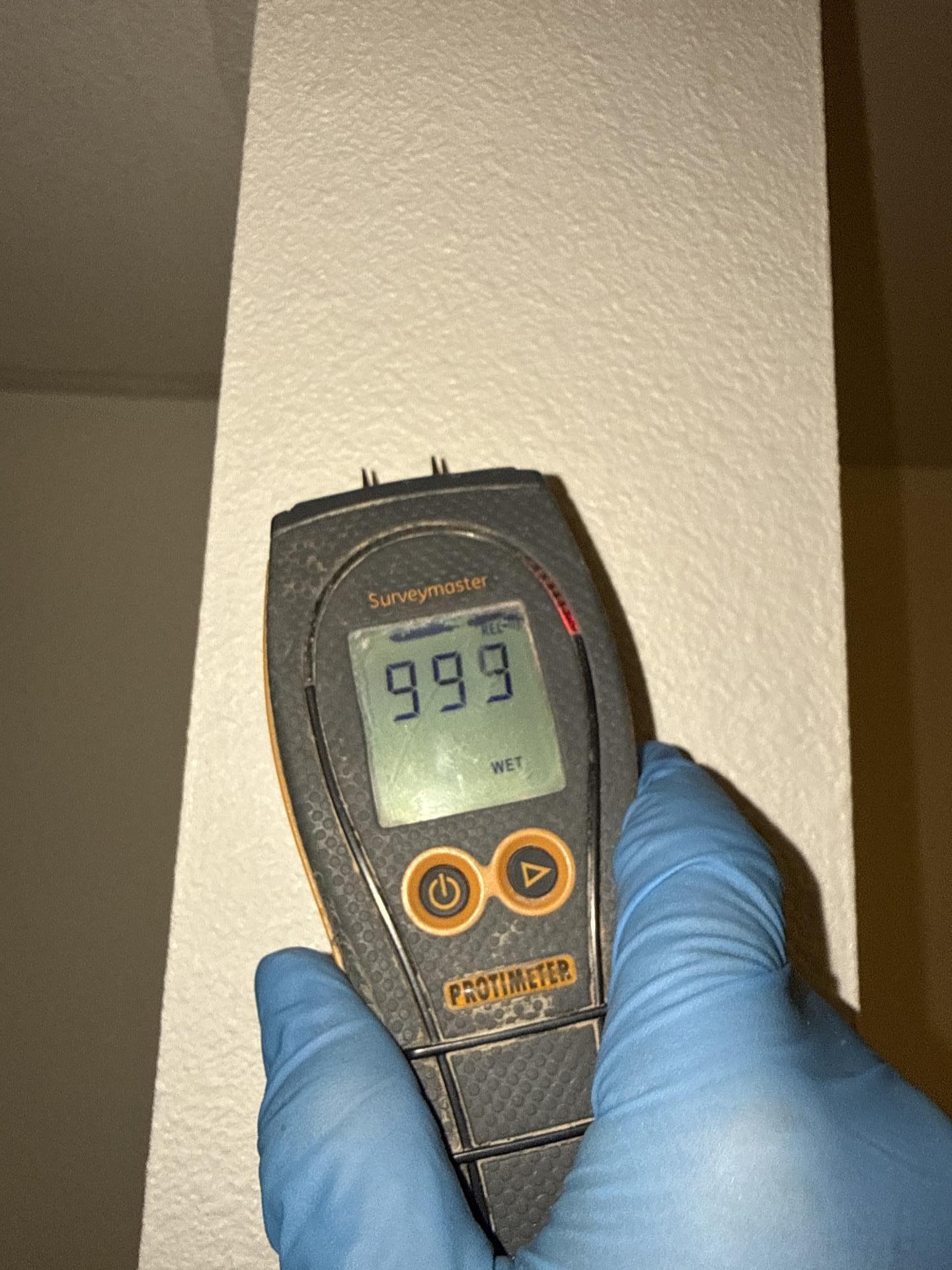 Moisture meter readings in hallway showing elevated saturation in wall assemblies