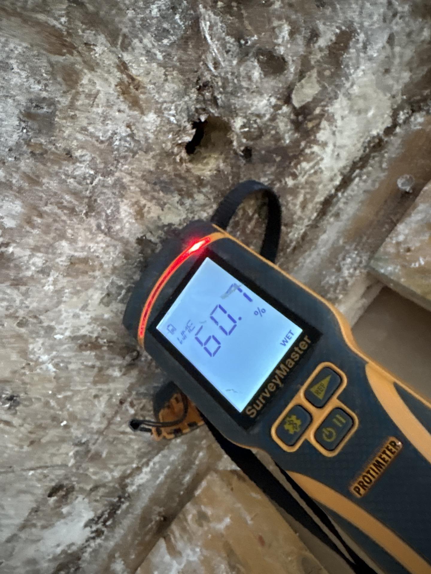 Moisture readings taken on the exposed kitchen subfloor during mitigation