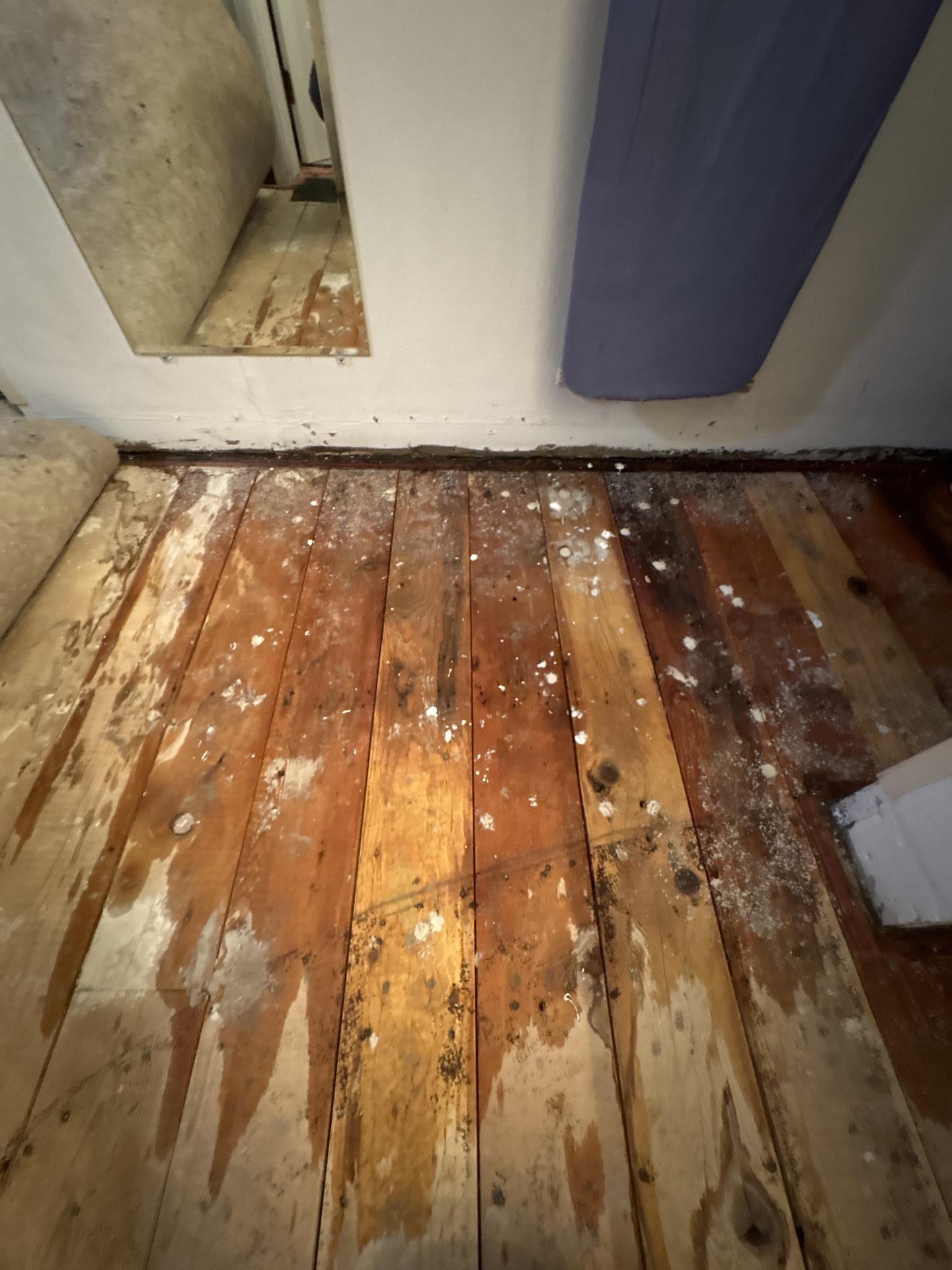 Subfloor water damage visible after flooring removal showing depth of moisture penetration