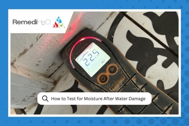 How to Test for Moisture After Water Damage