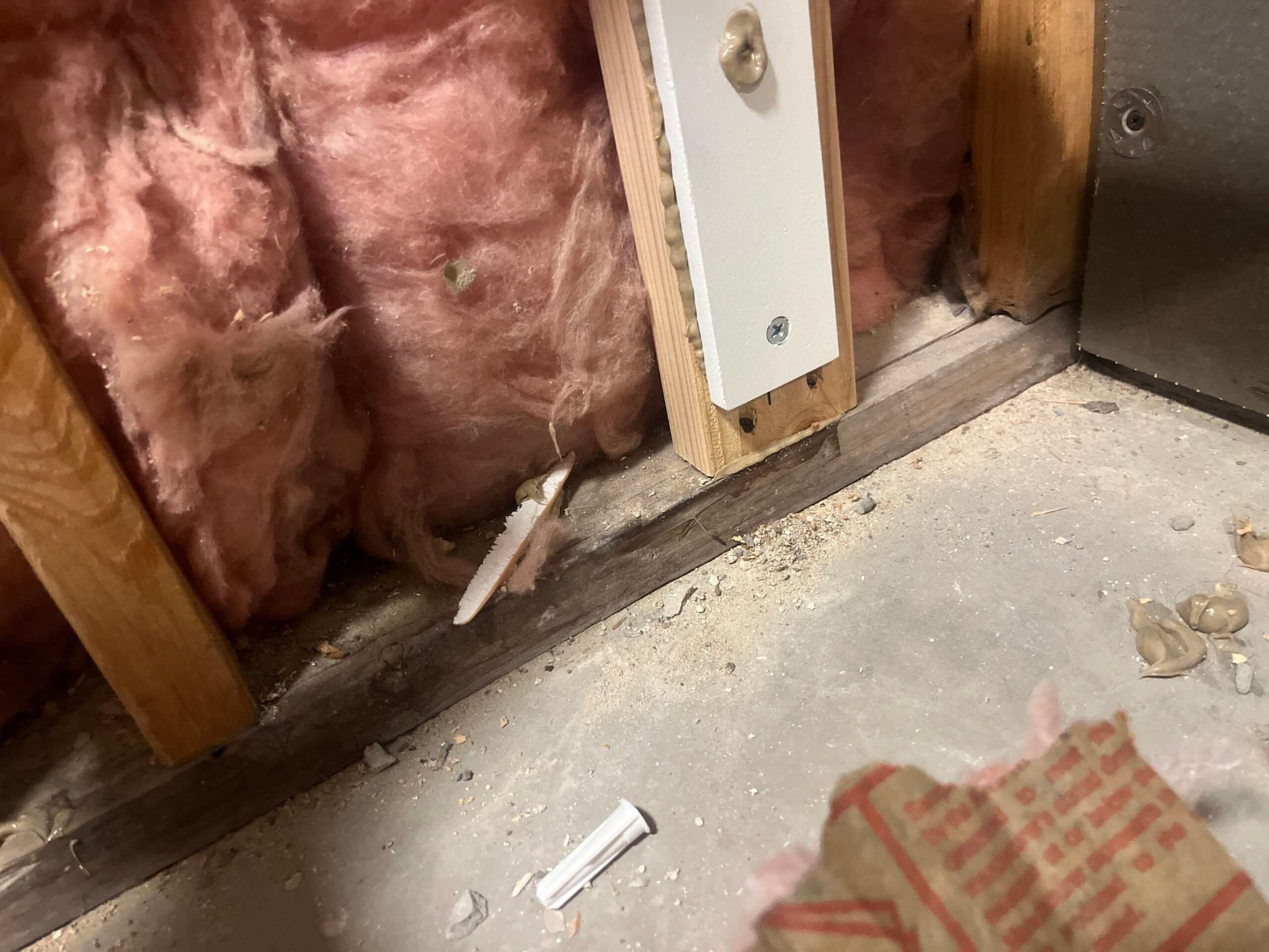 Mold growth found on wet insulation removed from the ceiling cavity
