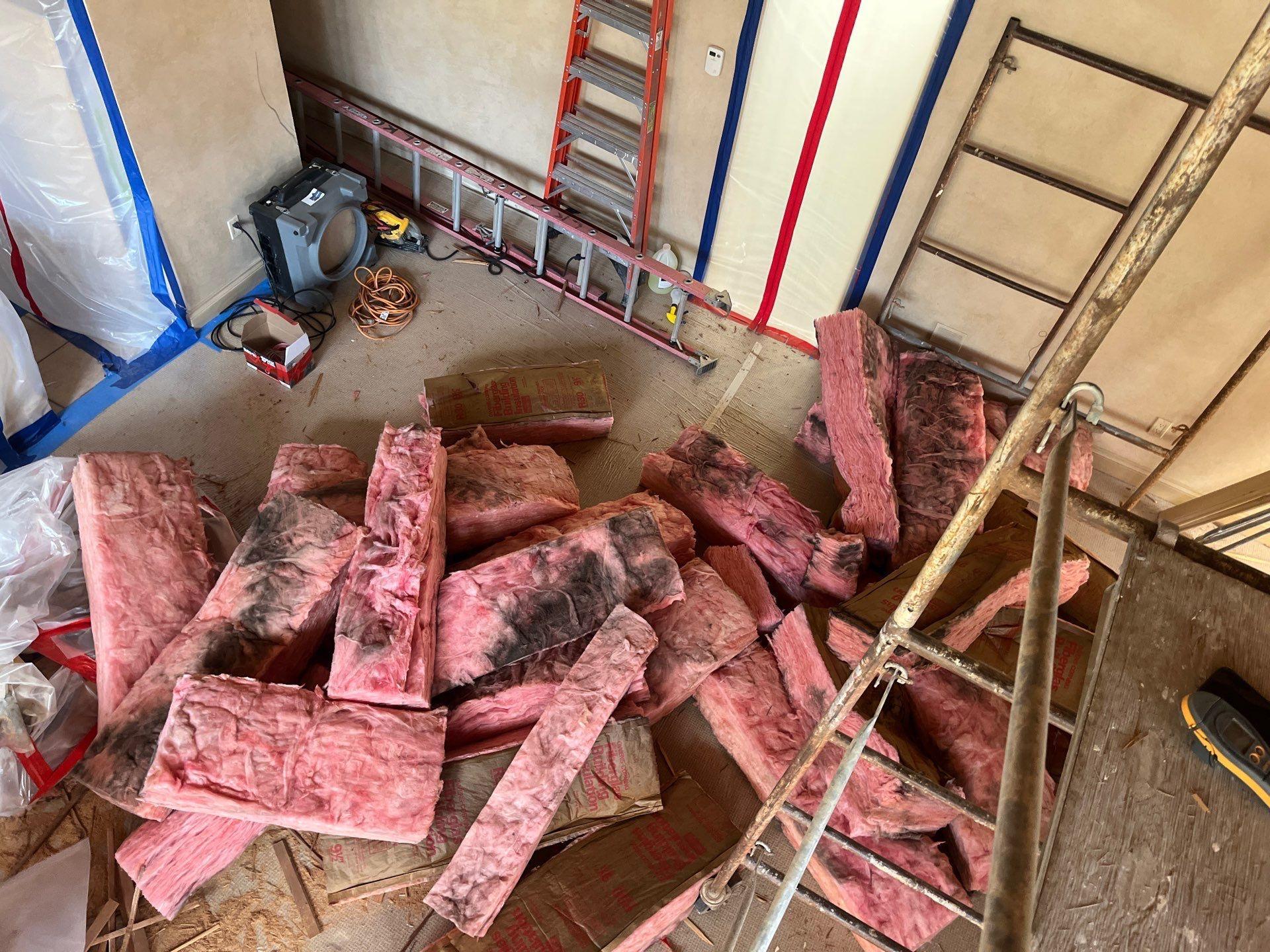 Contaminated insulation showing visible mold before removal