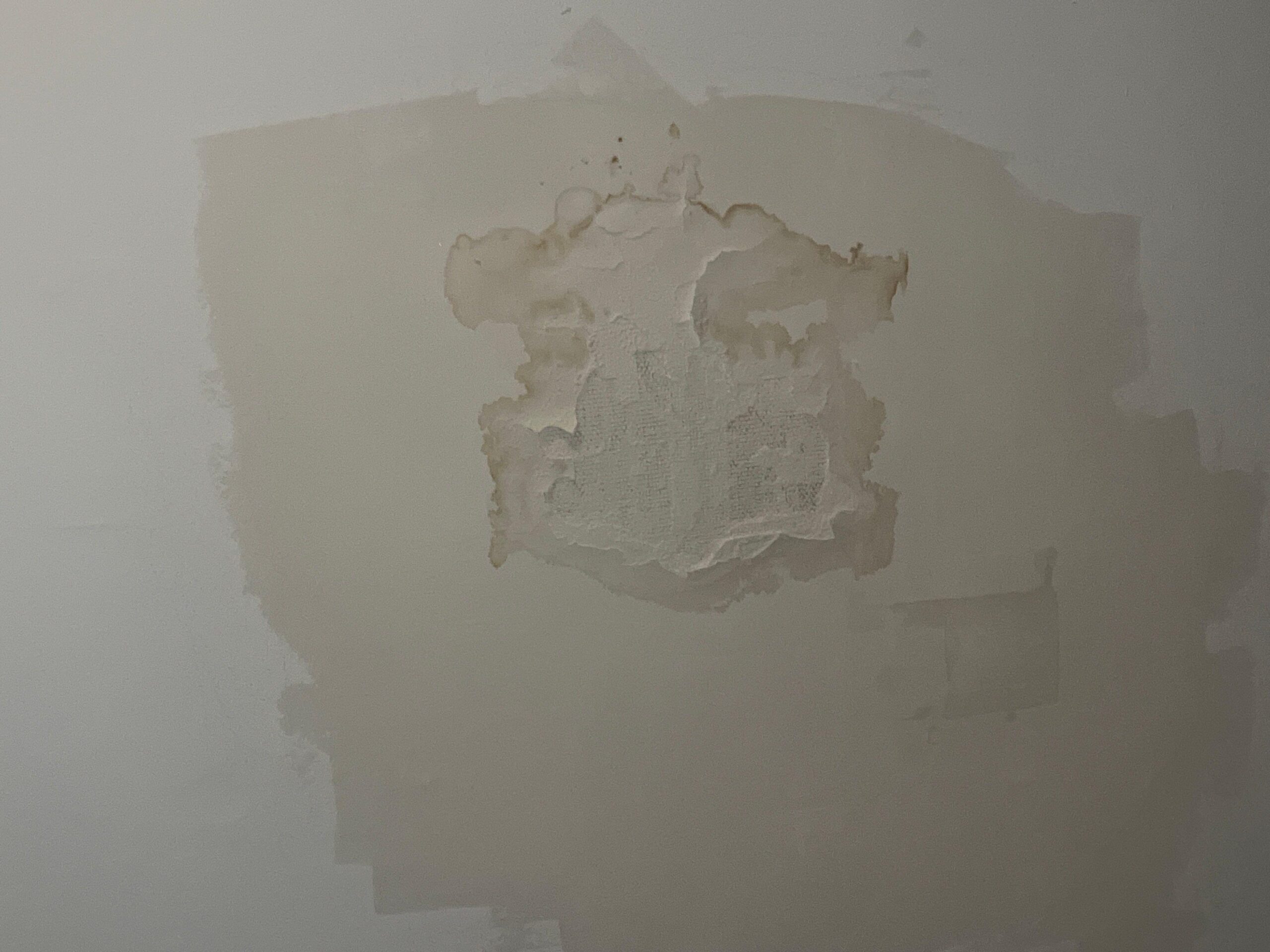 Close view of peeling paint and staining from moisture and mold on interior finish
