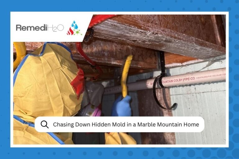 Chasing Down Hidden Mold in a Marble Mountain Home