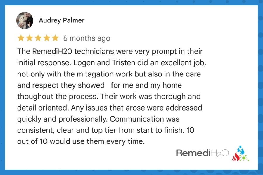 Five-star Google review from a Marble, CO homeowner praising RemediH2O's mold remediation work