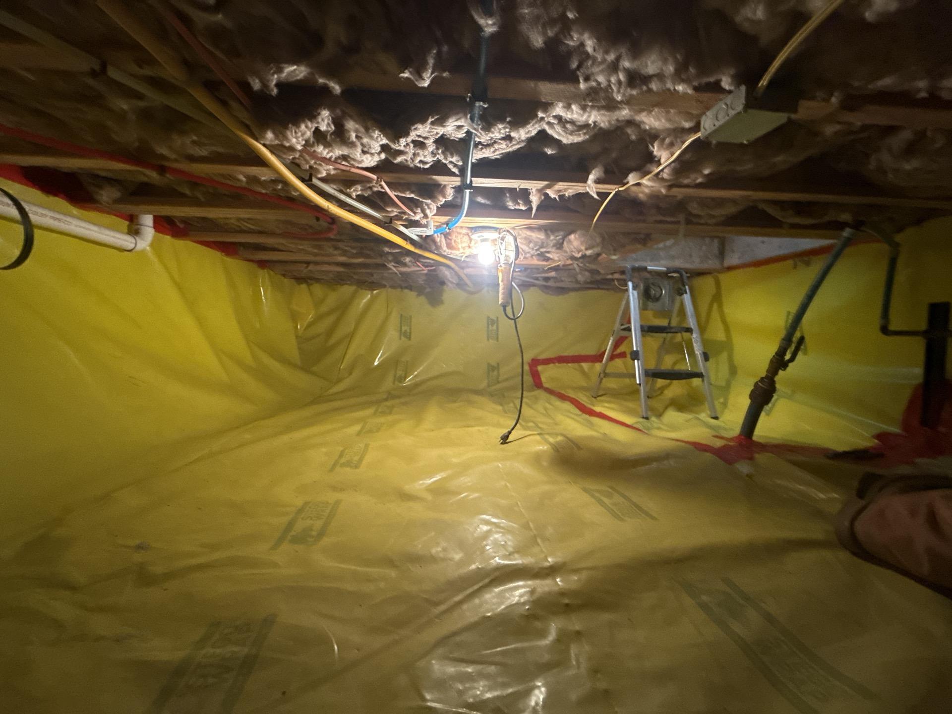 Crawlspace wall and joist assembly documented during mold remediation