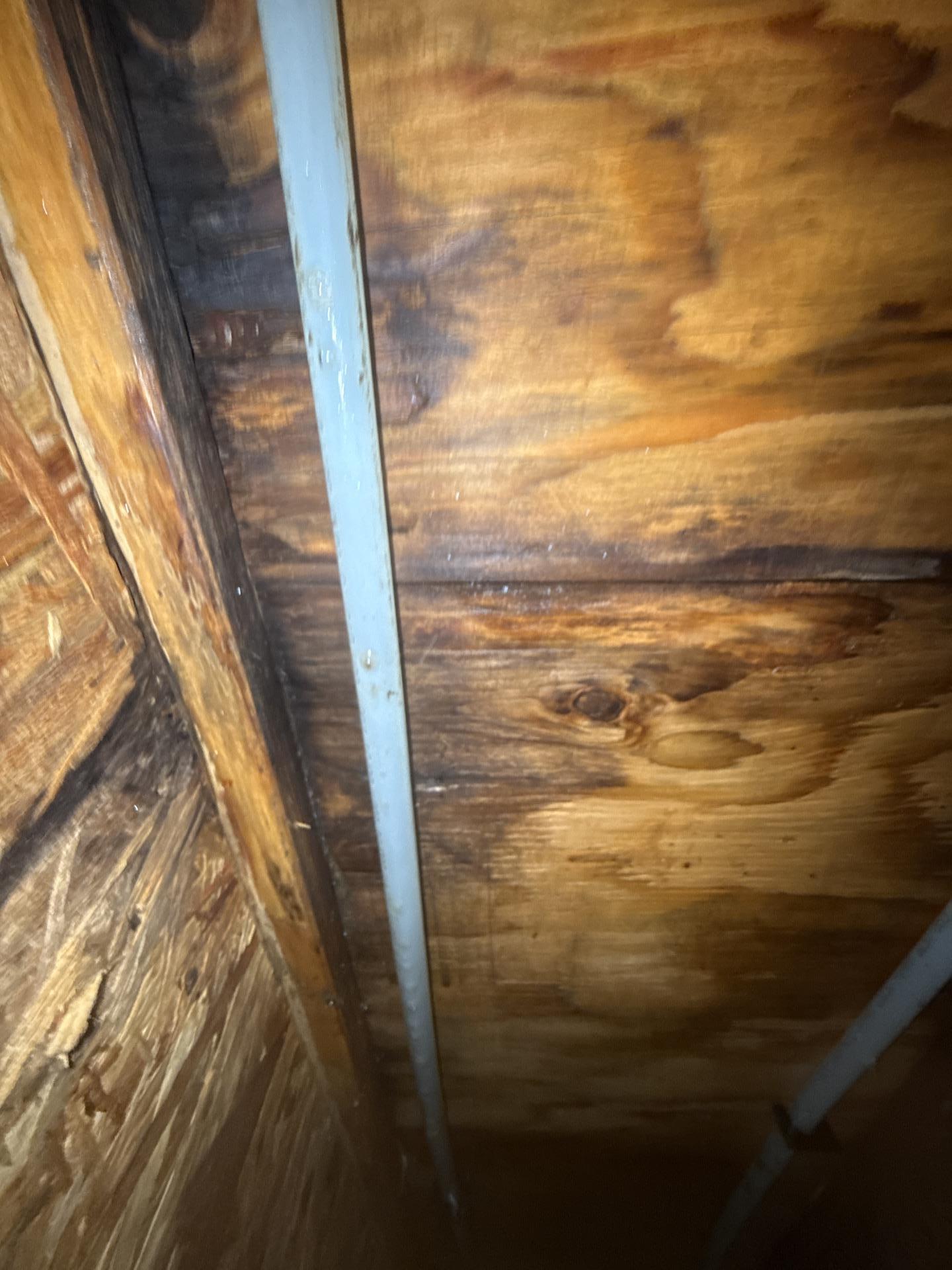 Close view of crawlspace surfaces affected by water and mold damage